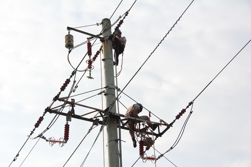 國網霞浦供電公司加裝線路避雷器，保障兩節(jié)期間電網可靠性