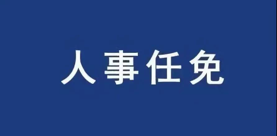 重磅！張智剛任國家電網總經理、黨組副書記，韓君出任三峽集團總經理