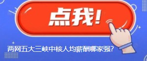 國網(wǎng)南網(wǎng)華能大唐國家能源三峽中核人均薪酬哪家強？