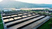 不用燒、不用填 生物處理技術(shù)出手，垃圾成資源