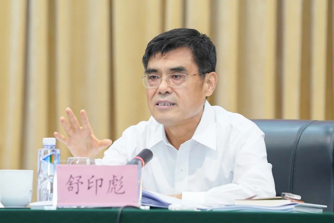 舒印彪：到2060年中國能源電力轉型將實現三個目