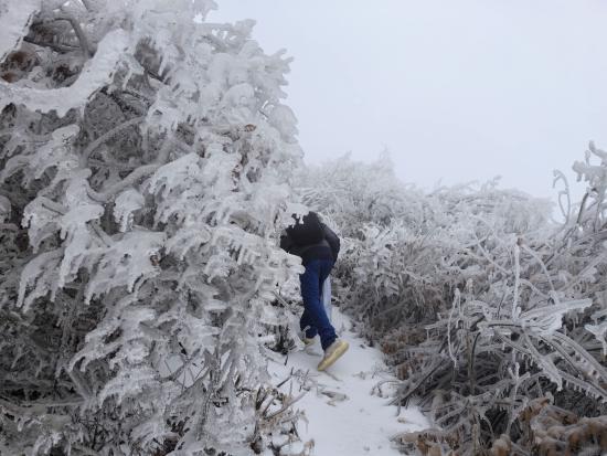 【新春走基層】迎雪而上攻堅行，奮戰(zhàn)不息護光明