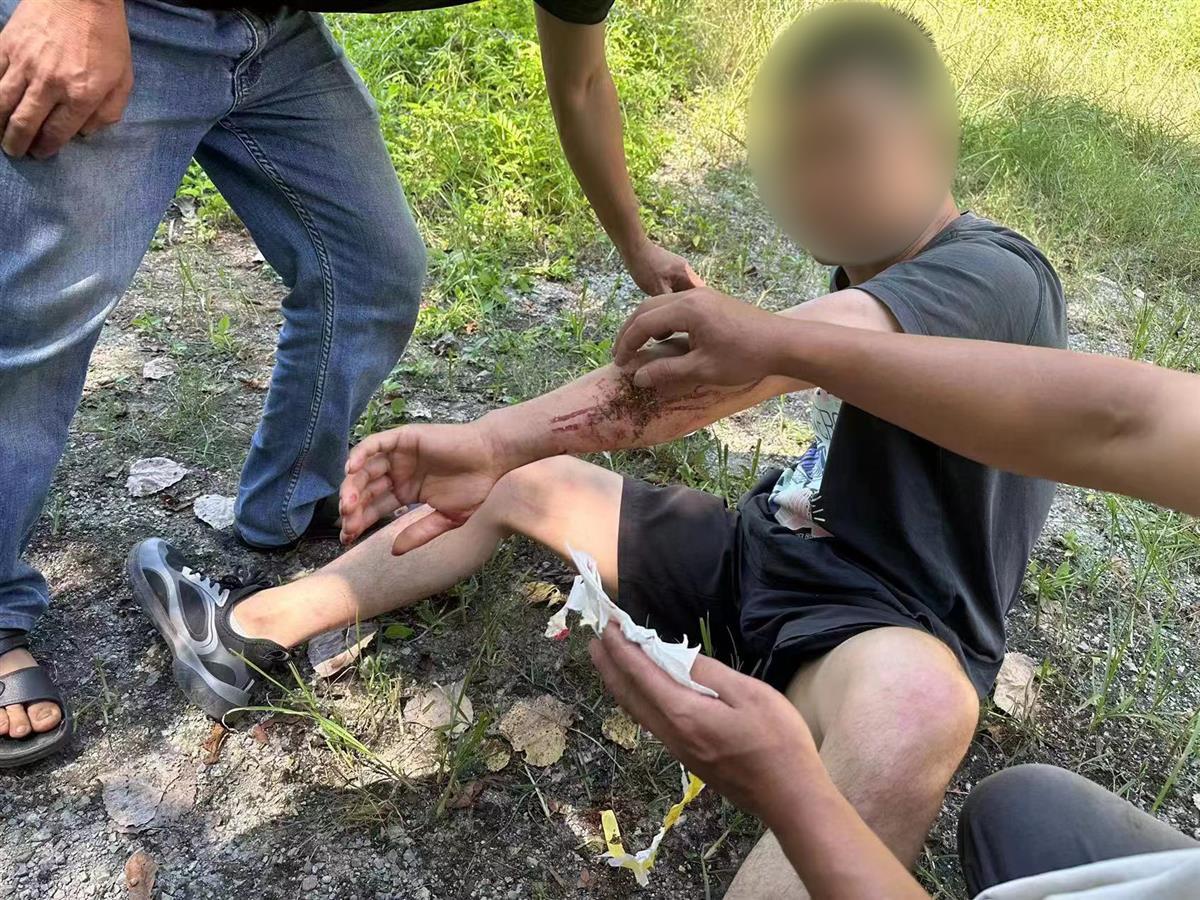 男子私設(shè)電網(wǎng)30余米，沒捕獲獵物卻電傷路人被刑拘