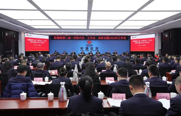 國能新疆能源召開二屆一次職代會、工代會、表彰會暨2025年工作會