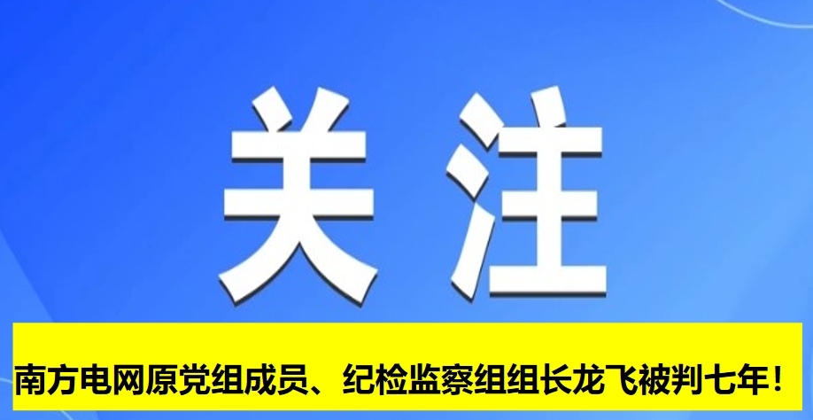 南方電網(wǎng)原黨組成員、紀(jì)檢監(jiān)察組組長龍飛被判